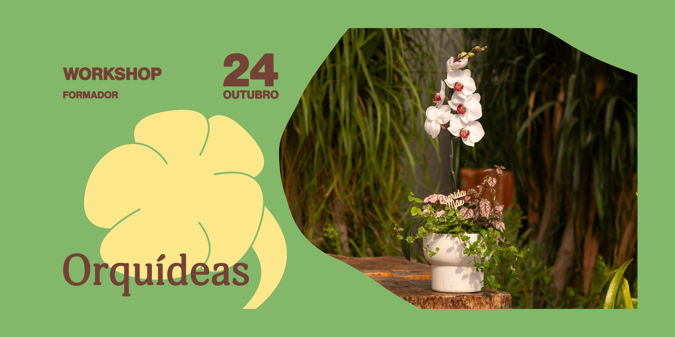 Workshop Orquídeas