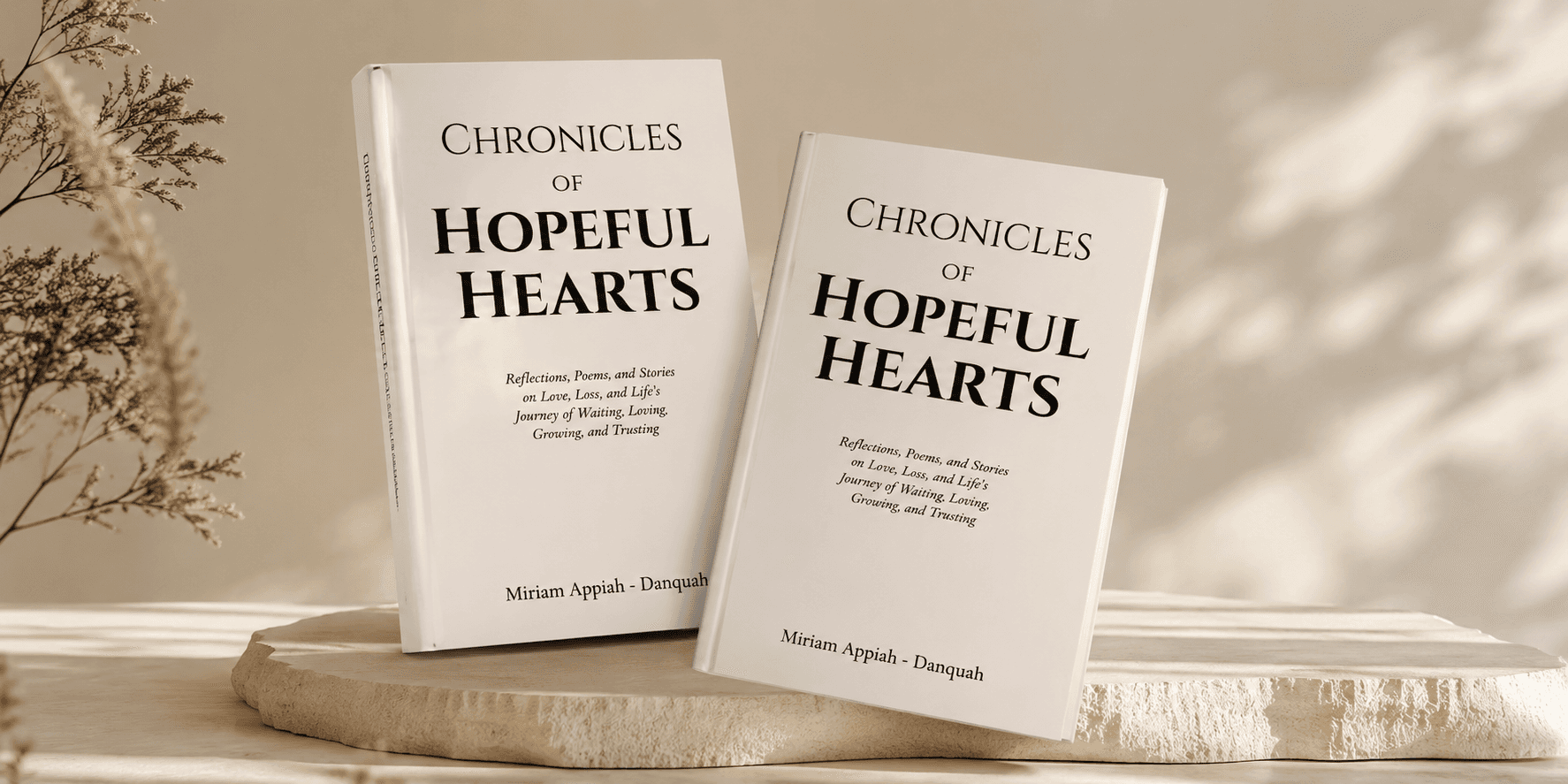 Chronicles of Hopeful Hearts - Book Launch