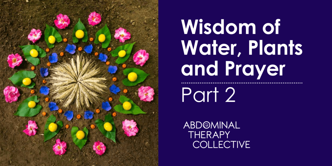 The Wisdom of Water, Plants and Prayer 2- Corfu, Greece