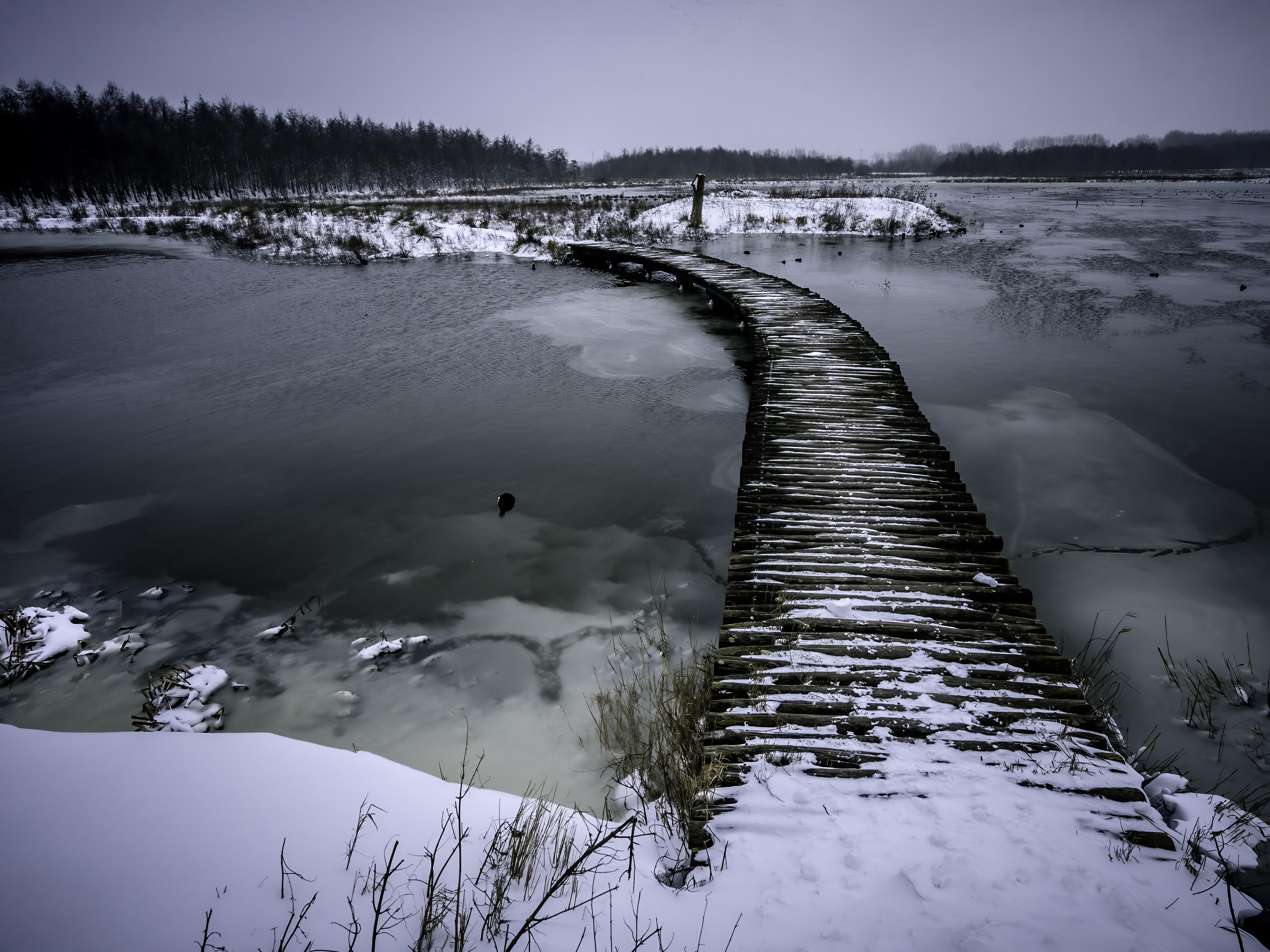 Winterwandeling Broekpolder Vlaardingen