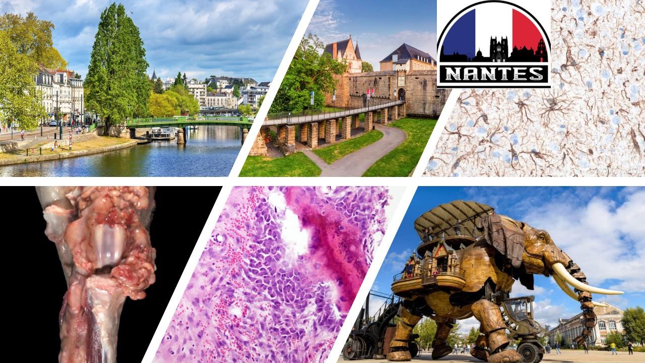 Davis Thompson Foundation European Symposium 2026 - 'The Hard Stuff'