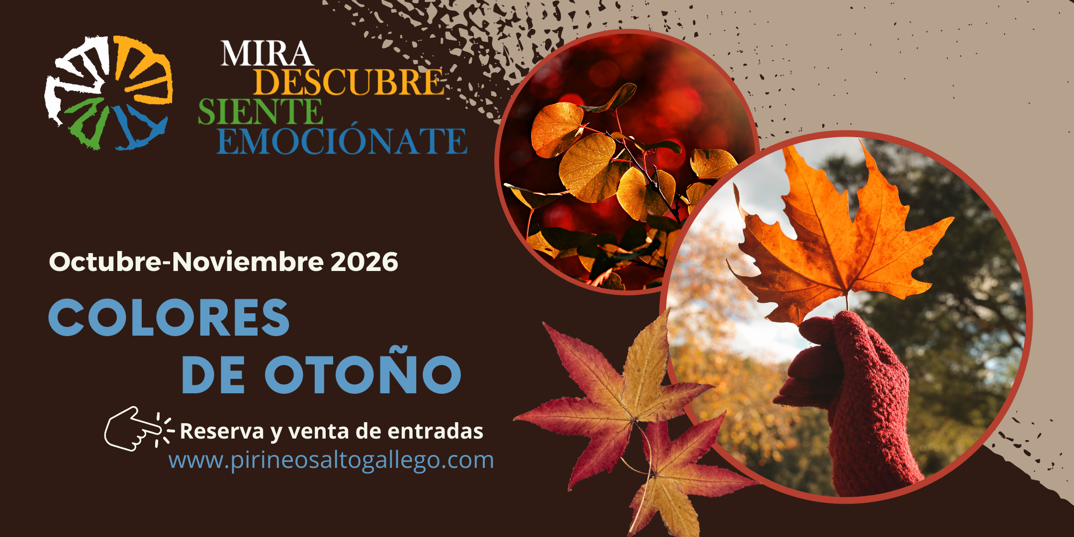 Visita Guiada Colores de Otoño, Paseo por El Pacino