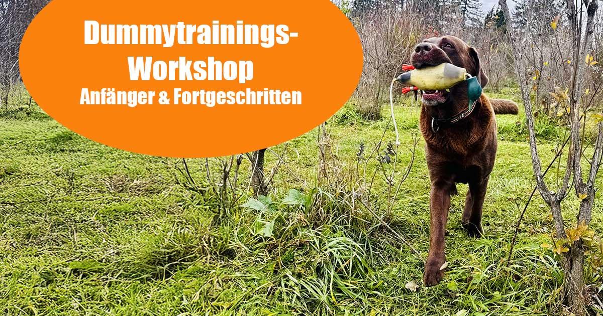 Gruppentraining Dummyarbeit
