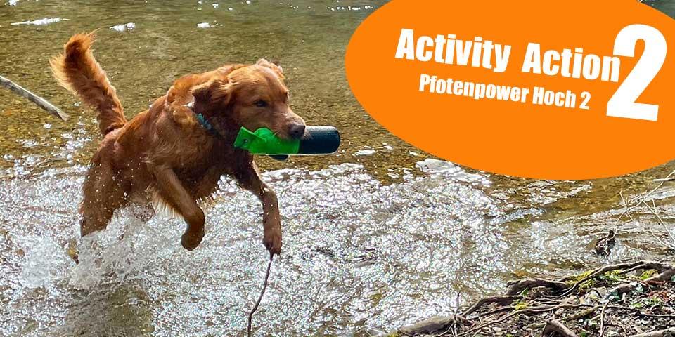 Activity-Action II