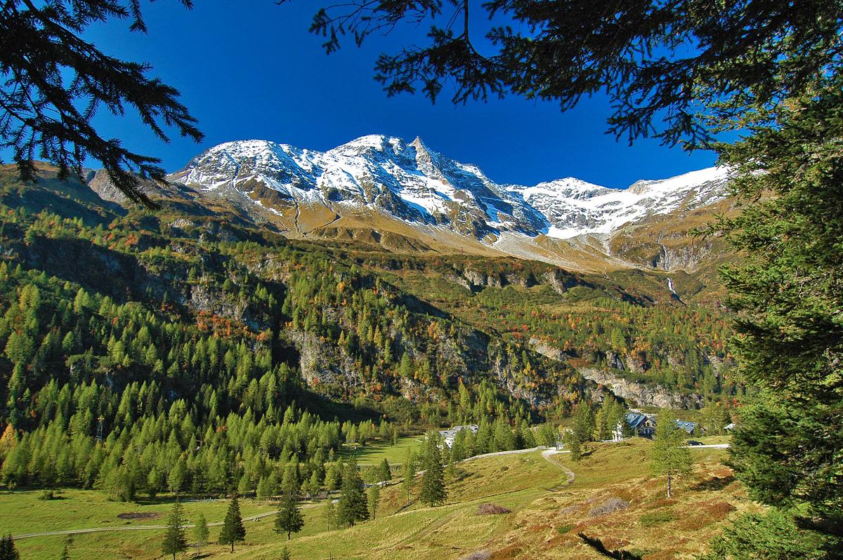 Into Stillness - Retreat in Österreich