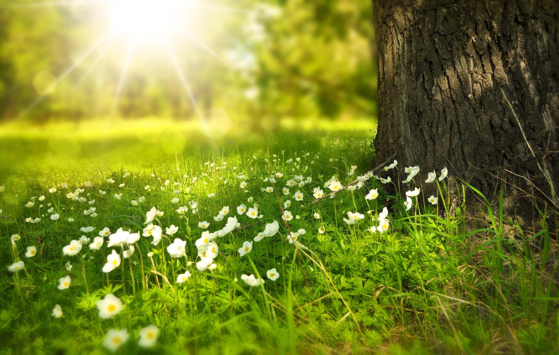 Stage Printemps : L'éveil des possibles