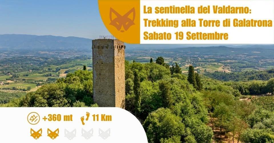 La sentinella del Valdarno: Trekking alla Torre di Galatrona