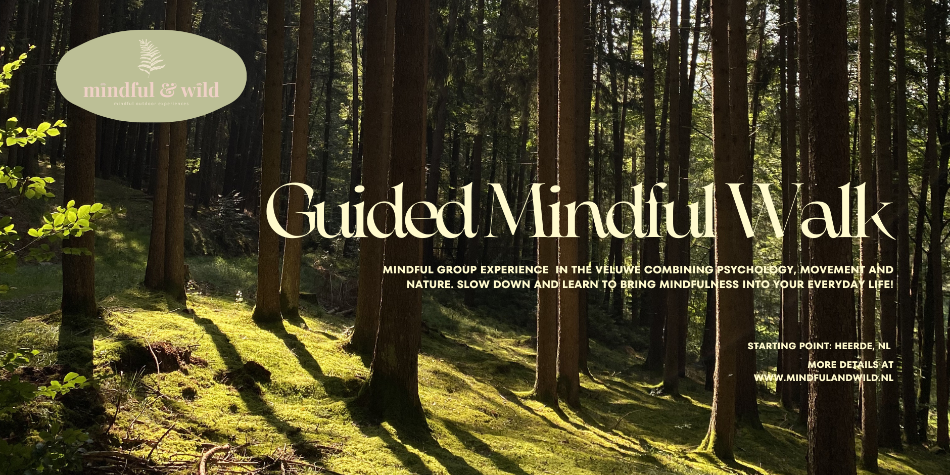 Guided Mindful Walk in the Veluwe