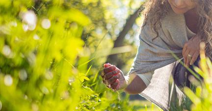 Stress ganzheitlich verstehen und managen