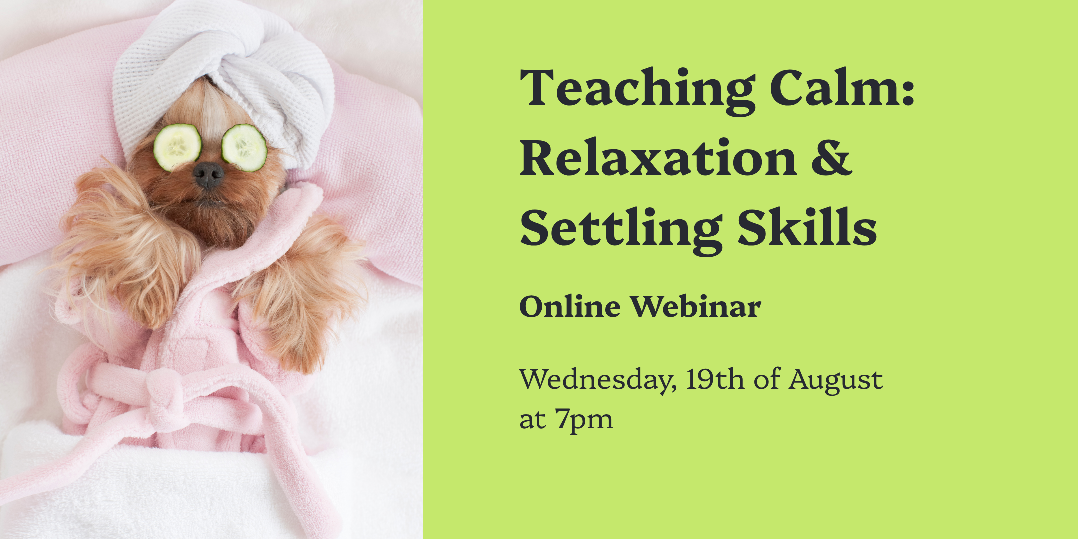 Teaching Calm: Relaxation & Settling Skills - Online Webinar