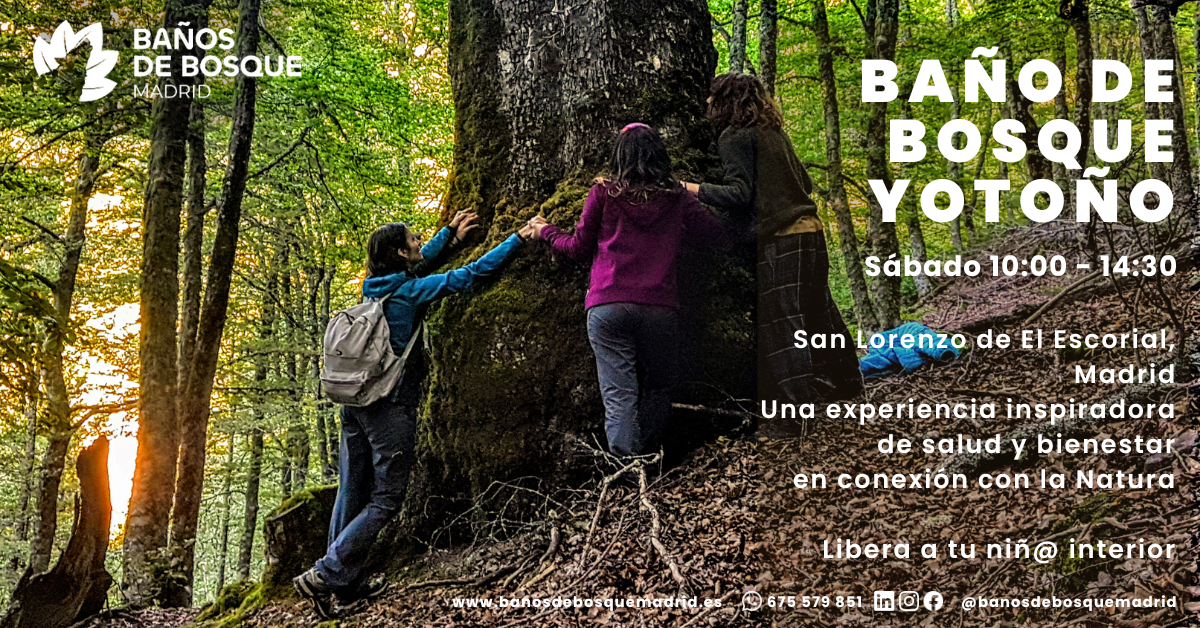 Baño de Bosque y Otoño sab 24 oct El Escorial